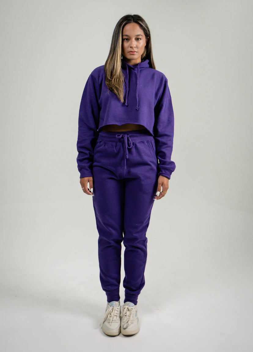 Fall 2 Pc Crop Top Sweat Suit Set (Purple)